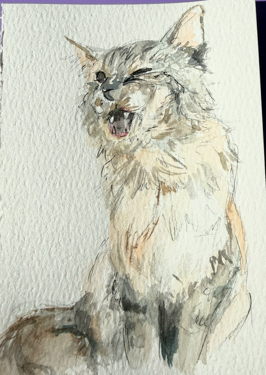 Cat Watercolor