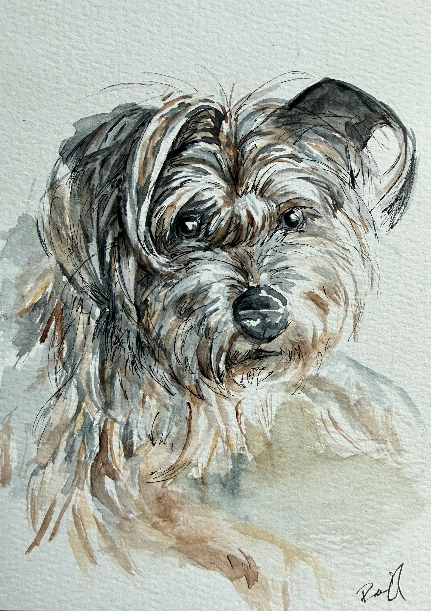 Custom Pet Watercolor
