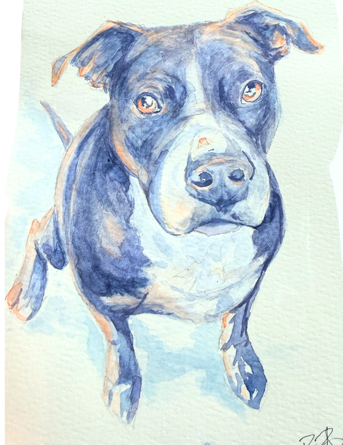 Custom Pet Watercolor